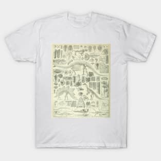 Fossil Chart T-Shirt